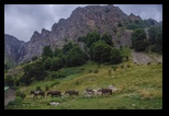 Balcani -august-2019 - Bogdan Balaban